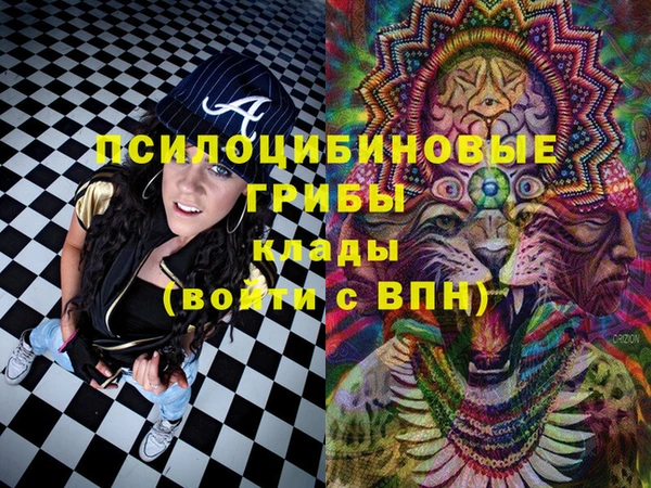 крисы Абинск
