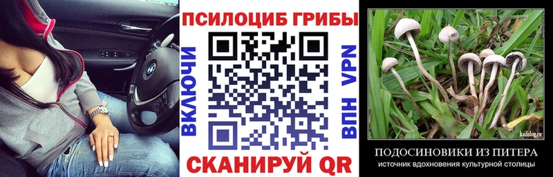 Галлюциногенные грибы Psilocybine cubensis mega сайт Осташков